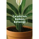 Kişiye Özel Isim Kelime Yazılı Uv Baskılı Şeffaf Dekoratif Pleksi Saksı Süsü - Tasarım 4