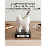 Kişiye Özel Isimli Diş Hekimi Masaüstü Kalemlik ve Isimlik 15 x 12 cm