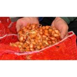 Kıska Soğan 1 Kg. Arpacık Soğan Iska Soğan Tohumu