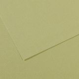 Kitabevimden Canson Fon Kartonu (Dokulu) Mı-Teıntes Sh Canmt 50X65 160 gr Grn 480-10-LU-PKT - Çok Renkli - tek