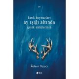 Kitabevimden Kırık Boynuzları Ay Işığı Altında Geyik Sürülerinin