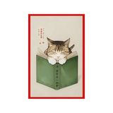 Kitap Okuyan Kedi Çizimli Hediye Not Kartı & Dekoratif Kartpostal – Sevimli ve Şık Tasarım | 10x15 cm