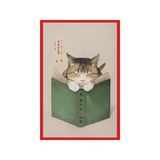 Kitap Okuyan Kedi Çizimli Hediye Not Kartı & Kartpostallar Sevimli Ve Şık Tasarım 10X15 Cm