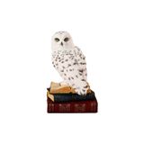 Kitap Üzerinde Beyaz Kar Baykuşu Hedwig Biblosu - Harry Potter