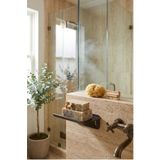 Kitchen Beauty Premium Katı Sabunluk Ultra Güçlü Yapışkanlı Siyah Paslanmaz Metal Katı Sabunluk Suya Dayanıklı Banyo Rafı