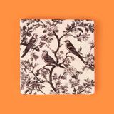 Kitchen Kuşlar Taş Bardak Altlığı - Renkli - 10X10 Cm