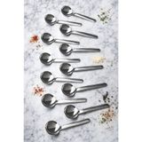 Kitchen Life 12'li Paslanmaz Çelik Baharat Kaşığı ,Kahve ve Şeker Kaşığı 8 cm