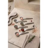 Kitchen Life 6'lı Paslanmaz Çelik Baharat Kahve ve Şeker Kaşığı 8 cm