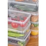 Kitchen Line 10 Adet Derin Dondurucuya Uygun Saklama Kabı Mikrodalga Difrize Uygun Dikdörtgen Saklama Kabı