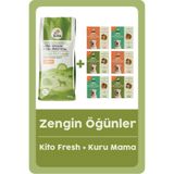 kito Doğal Besi Kuzu Etli Yetişkin Köpek Maması 15 Kg Ve Fresh Taze Köpek Yemeği Tanışma Paketi