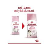 Kitten Bağışıklık Güçlendirici Yavru Kedi Maması 2 Kg
