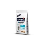 Kitten Tavuk Ve Pirinçli 10 Kg Yavru Kuru Kedi Maması