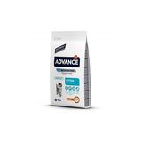 Kitten Tavuklu ve Pirinçli Yavru Kedi Maması 10 kg