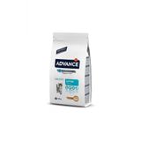Kitten Tavuklu Ve Pirinçli Yavru Kedi Maması 1,5 Kg