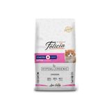 Kitten Yavru Kedi Maması 12Kg
