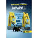 Kityus Marsilya Sabunlu 2x5 lt Kedi Kumu