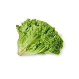 Kıvırcık Tohumu Marul Kışlık Paket 5 Gram