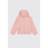 Kız Bebek Fermuarlı Pudra Sweatshirt 4 Yaş (104 cm)
