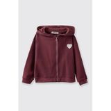 Kız Bebek Kapüşonlu Kalp Apikeli Fermuarlı Yumuşak Dokulu Sweatshirt 2 Yaş (92 cm)