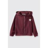 Kız Bebek Kapüşonlu Kalp Apikeli Fermuarlı Yumuşak Dokulu Sweatshirt 6-12 Ay (68-74 cm)