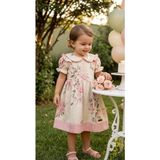 Kız Bebek Vintage Gül Desenli Yakalı Elbise - Fırfırlı ve Dantel Detaylı %100 Pamuklu Bayramlık Elbise 2-5 Yaş - 2 Yaş - Pudra Pembe
