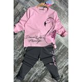 Kız Çocuk Flamingo Baskı ve Yazı Detaylı Pembe Taytlı Takım - 4 - 5 Yaş