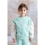 Kız Çocuk Peluş Kol Detaylı Nakışlı Sweatshirt - Yeşil - 9 - 10 Yaş