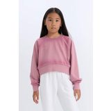 Kız Çocuk Relax Fit Bisiklet Yaka Crop Basic Düz Sweatshirt