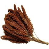 KIZIL DAL DARI KUŞ YEMİ 500 GR