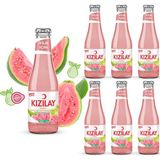 Kızılay Doğal Guava Aromalı Maden Suyu 200 ml x 6 Adet