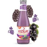 Kızılay Karadut Frenk Üzümü Aromalı Maden Suyu 6x200 ml