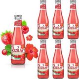 Kızılay Maden Suyu Doğal Kırmızı Meyveler Hibiskus Aromalı 200 ml x 6 Adet