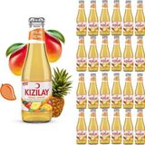 Kızılay Maden Suyu Doğal Mango Ananas Aromalı 200 ml x 24 Adet