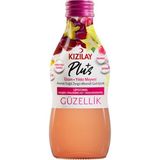Kızılay Plus Üzüm & Yıldız Meyvesi 200 ml x 24 Şişe - Erzincan