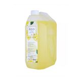 Klasik Limon Kolonyası Plastik Bidon 5 Lt 80 Derece