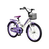 Kldoro KD-20301 20 J Bagajlı Kız Çocuk Bisikleti beyaz-mor