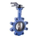 Klepsan 2161 2 Pn16 Kelebek Vana Lug Tip Dn50