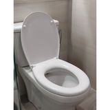 Klozet Kapağı Klasik Oval Visam Leylak