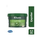 Knorr Chef Base Sebzeli Çeşni 6,5 Kg