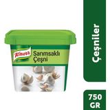 Knorr Sarımsaklı Çeşni Toz 750 gr - 1 Adet