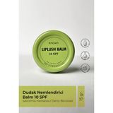 Known. Dudak Koruyucu, Onarıcı Ve Nemlendirici Balm 10 Spf - 15g (Olive Oil-Calendula Oil-Jojoba Oil)