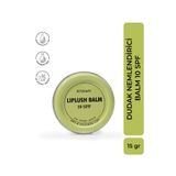 KNOWN. Nane Aromalı Dudak Maskesi - Nemlendirici, Onarıcı Ve Koruyucu Dudak Balmı, Spf 10, 15g