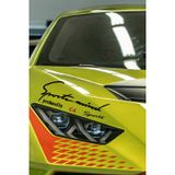 Kocamın Tasarımı Citroen C4 Sport Mind Far Dekor Sticker Siyah Zemin Kırmızı Yazı Oto Aksesuar C4 Yazılı