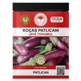 Koçaş Patlıcanı Ata Tohumu (50 Adet)