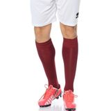 Kodispa Star 2 Lüx Futbol - Tozluk Çorap Bordo - 35 - 39