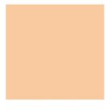 Koh-i Noor Beige 8780/9 Progresso Aquarelle Woodless Kalem
