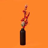 Kokina Dal Çiçek - Asorti - 55 Cm
