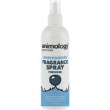 Koku Giderici Bebek Pudrası Kokulu Köpek Deodorant Spreyi 250ML - 001-Beyaz