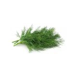 Kokulu Dereotu Tohumu - 5 Gram