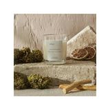 Kokulu Mum, Yeşil Dokunuş